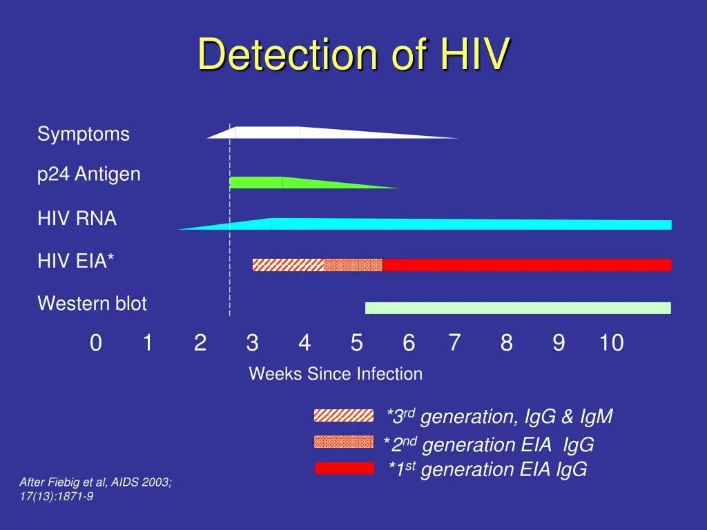 Hiv 1 p24