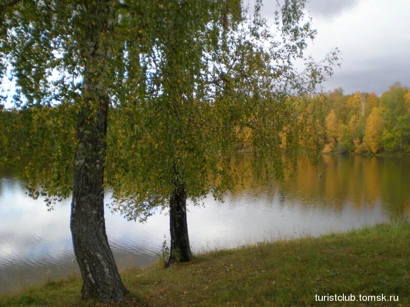 Томск Карбышево. Деревня Карбышево Томская Губерния. Карбышево Вачский район. Томск Карбышево Томская область.