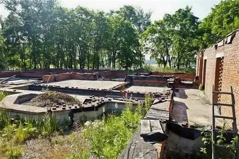Погода деревня березняки
