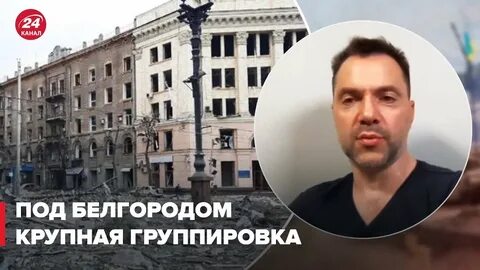 Последние видео фейгина арестович