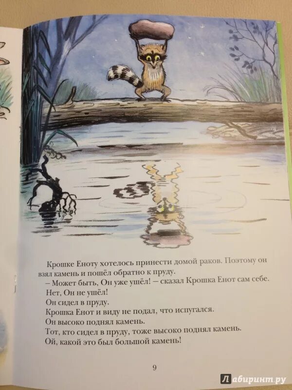 Расскажи крошка. Лилиан муур крошка енот и тот кто сидит в пруду. Сказка Лилиан муур «крошка енот и тот, кто сидит в пруду». Муур крошка енот книга. Книга муур крошка енот иллюстрации Сутеева.