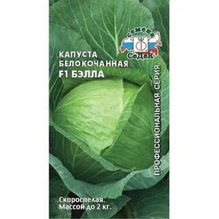 Описание и характеристика капусты мегатон
