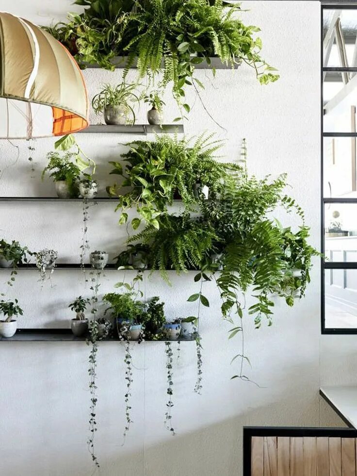 21.8k Likes, 200 Comments - Jungalow ® (@thejungalow) on Instagram: "Place plant