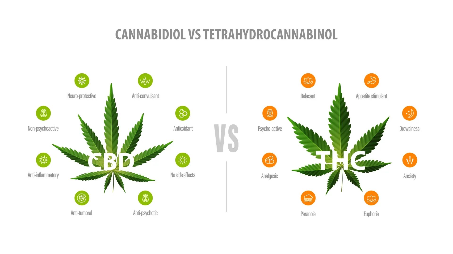 Как добавить свой тгк в профиль. Листья конопли уровень тгк. cbd и тгк разница.