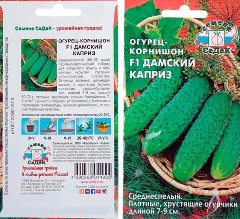 Семена кориандра король рынка седек. Семена морковь дуняша седек. Седек капуста б/к скороспелая. Тыква детская деликатесная (седек). Семена седек отзывы.