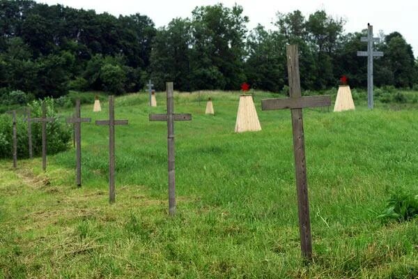 Желтая полка. Концлагерь 5 й полк витебск. Концлагерь 5 й полк г витебск. Одон внг рф. Дзержинского внг рф.