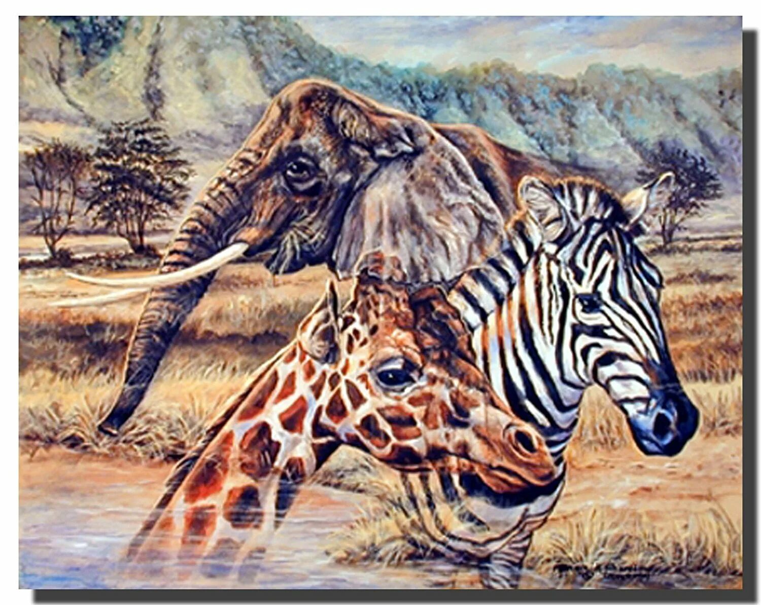 Постеры с животными. Африканский тигр. Тигр и Зебра. Звери Постер.