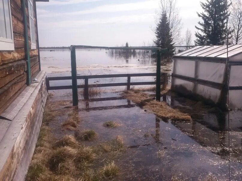 Погода трусово алтайский край. Трусово Усть-Цилемского района. Филиппово Усть-Цилемский район. Наводнения в Трусово Усть Цилемского района Коми. Деревня Трусово Усть Цилемского района Коми.