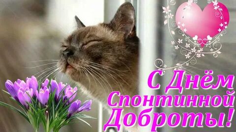 Видео о добром дне