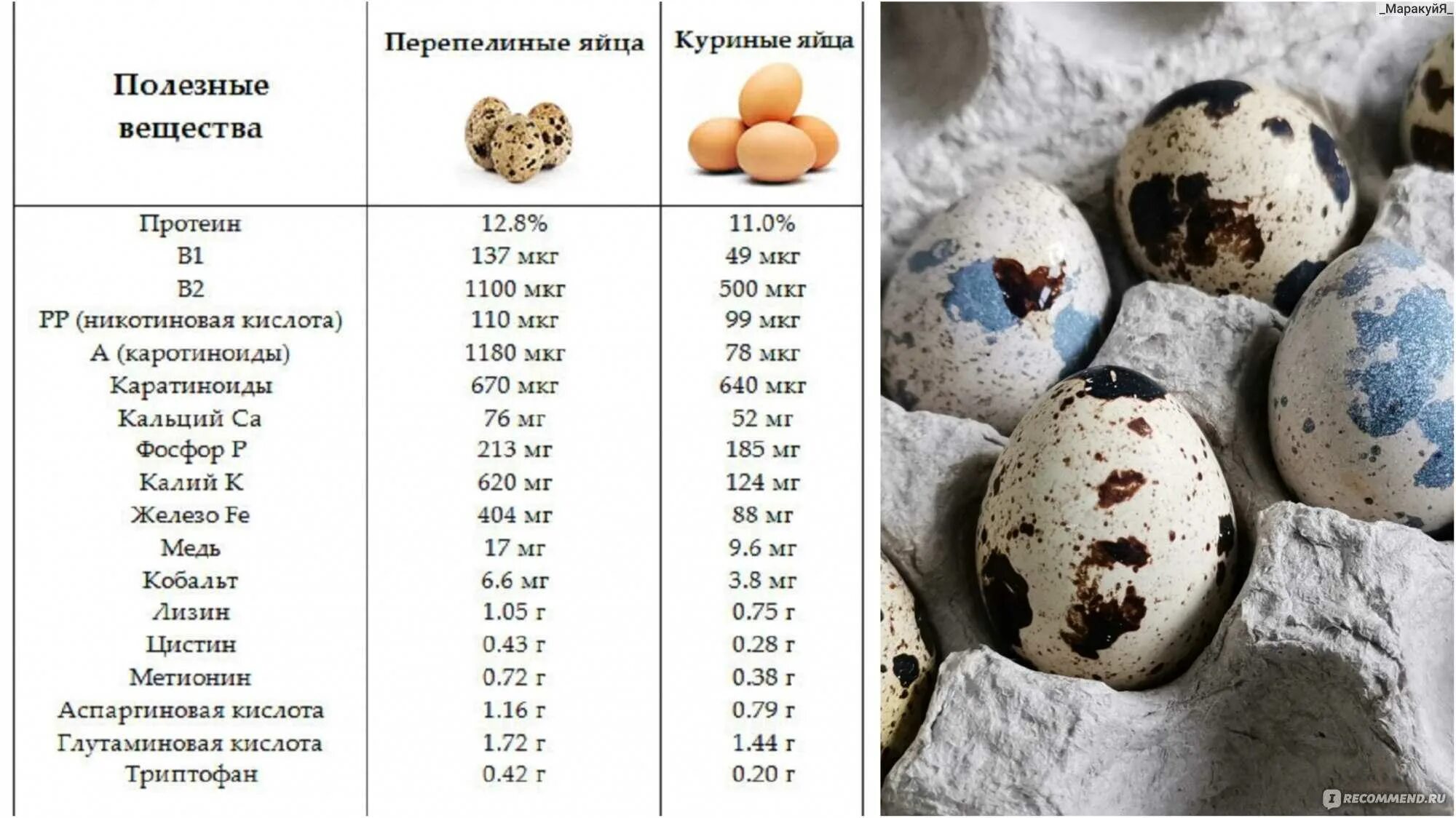 Сколько белка в перепелином белке. Перепелиные яйца калорийность в60гр. Сколько варить перепелиные яйца. Размер перепелиного яйца. Перепелиное яйцо калории.