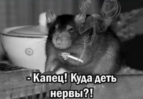 Капец это