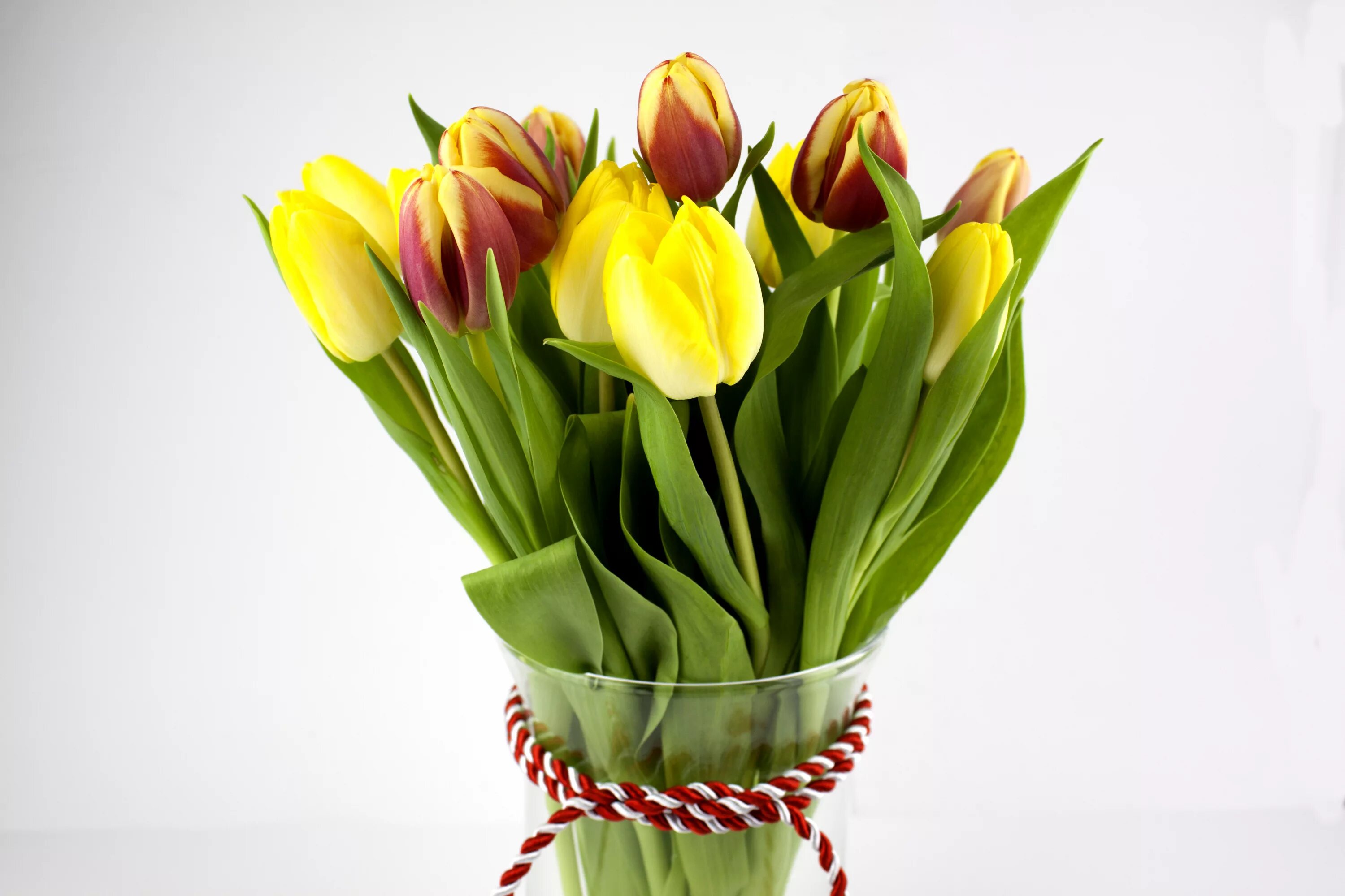 Тюльпаны стильные картинки. Букет тюльпанов. Желтые тюльпаны. Букет желтых тюльпанов. Красно желтые тюльпаны букет.