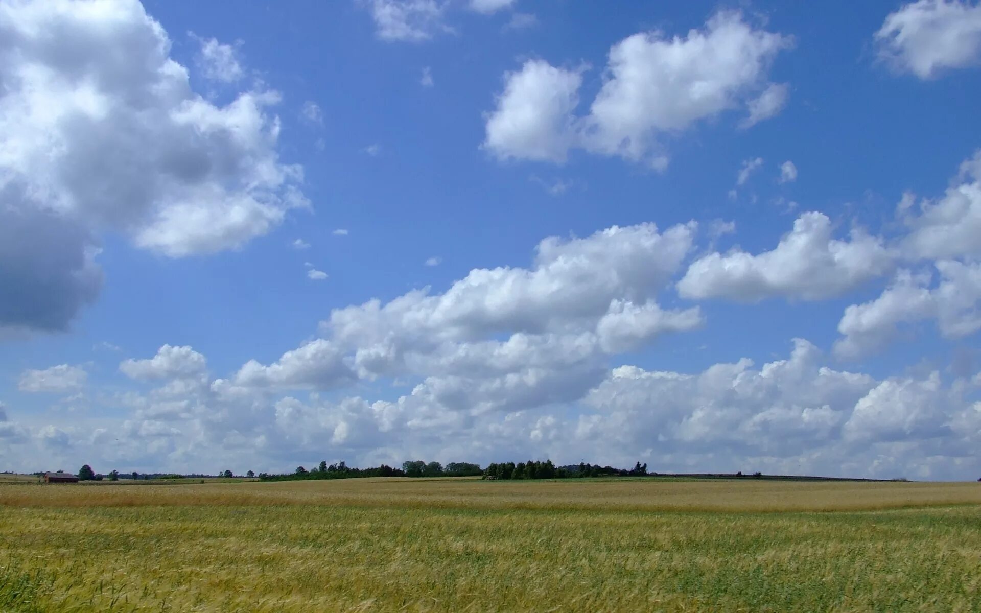 Степь небо Калмыкия. Степь облака. Степь арт. Красивые обои поле тучи. Header fields