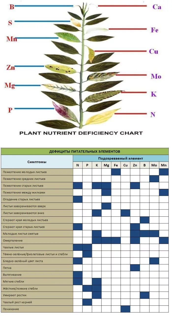 Таблица нехватки микроэлементов у растений. Таблица нехватки микроэлементов у растений аквариумные. Недостаток элементов питания у растений таблица. Избыток и недостаток микроэлементов у растений. Определение болезней растений