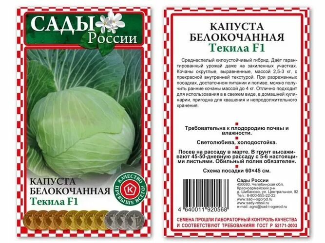 Капуста белокочанная семена f1 старт. Капуста текила f1. Капуста старт f1. Капуста устойчивая к Киле сорта белокочанная.