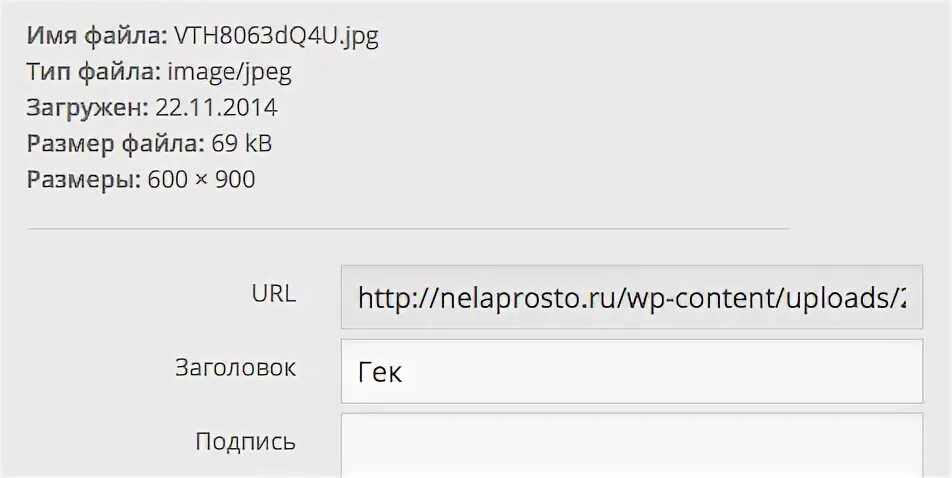 Size url
