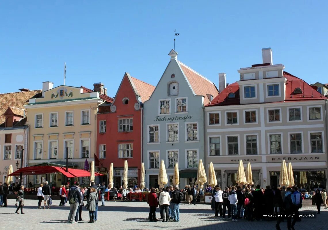 эстония ратушная площадь. ратушная площадь таллин. эстония достопримечательности ратушная площадь. таллин старый город ратушная площадь. Tallinn ратушная площадь.