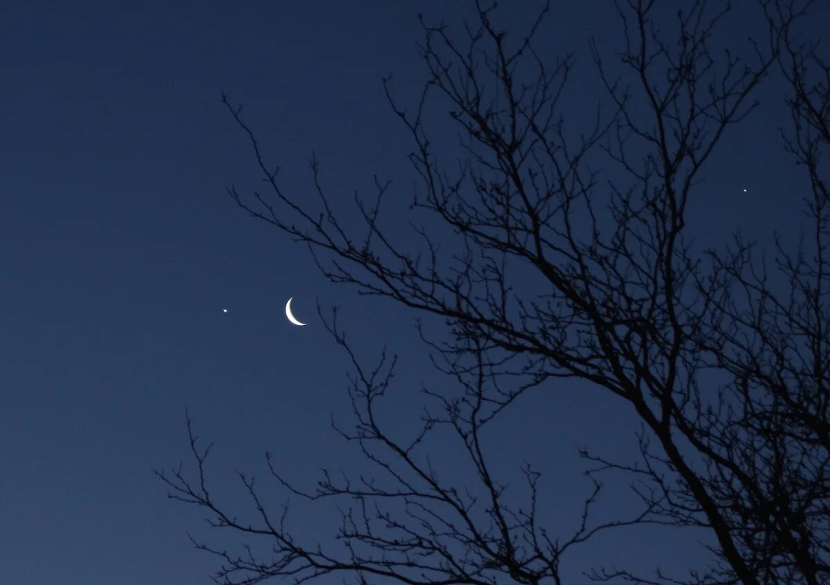 Каким цветом луна на небе. Дерево Юпитера. Драматичное небо Луна. Venus photo Crescent Moon.