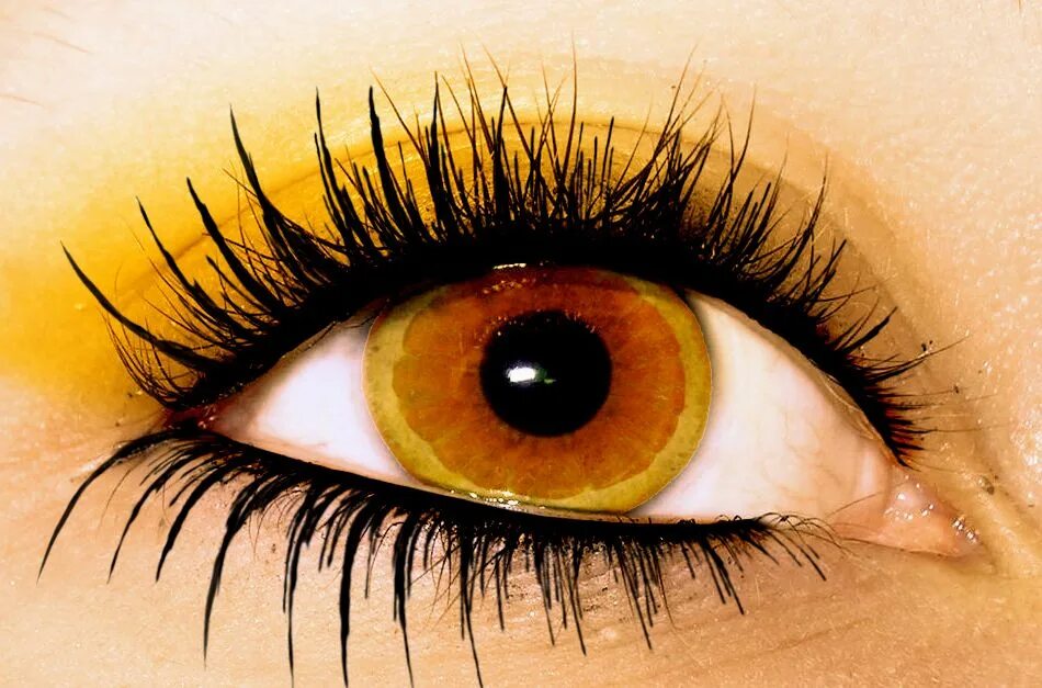 Желтый глаз 13. Оранжевые глаза. Желтые глаза. Желтый цвет глаз. Желто оранжевые глаза.