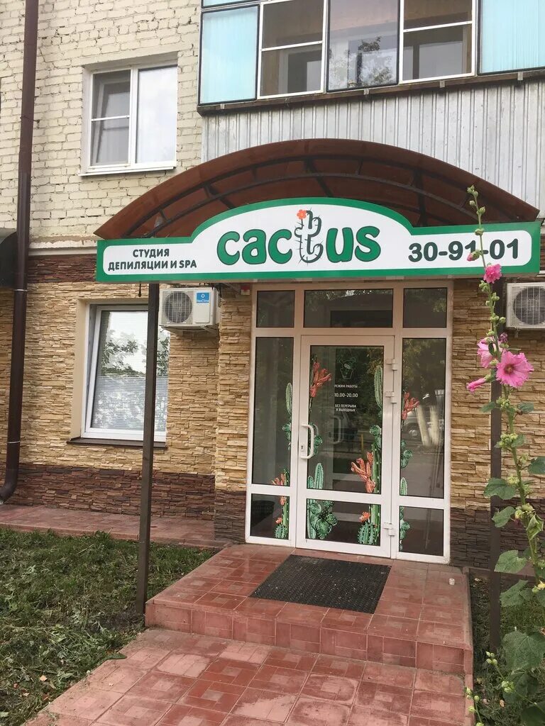 Кактус d12. Кактус саранск. Кактус саранск. Ашан кактусы. Эхинокактус микс d5.