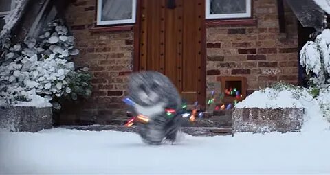 Mogs christmas calamity