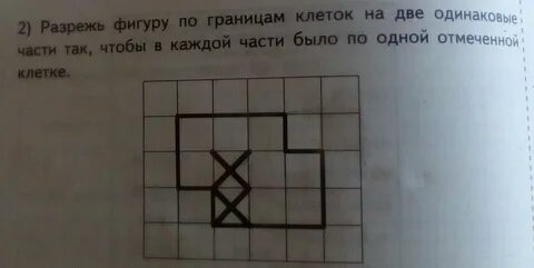 На две одинаковые клетки