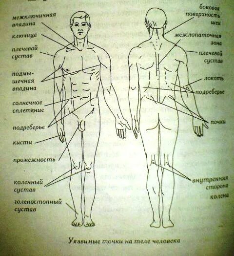 Названия точек человека. Уязвимые болевые точки на теле человека. Болевые точки человека схема. Анатомия человека болевые точки схема. Болевые точки на теле человека для нажатия.