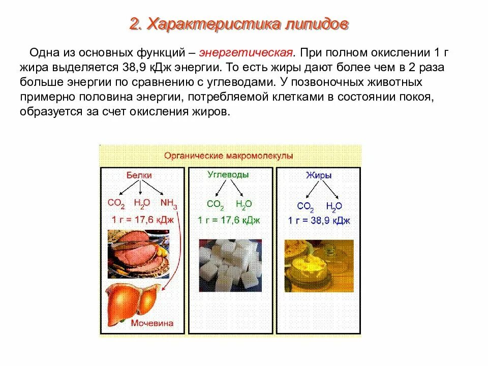 Углеводы липиды строение. Свойства белков углеводов жиров и липидов. Энергетическая роль углеводов. Энергетическая функция белки жиры углеводы. Характеристика энергетической функции липидов.