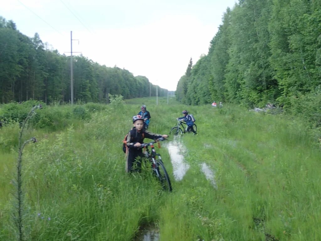 церкви города жиздры. томатыч жиздра. козельск река жиздра. жиздра храм. жиздра река сплав.