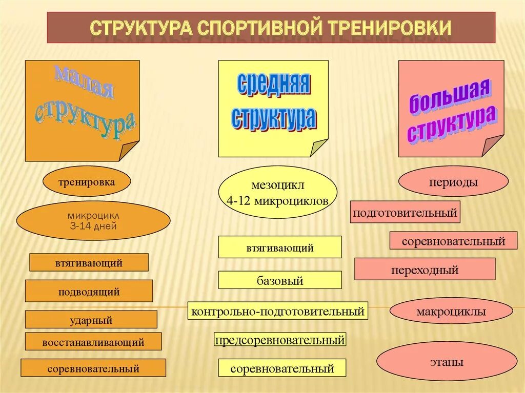 Структура спортивной тренировки. Структура спортивной подготовки. Структура тренировочного процесса. Структура подготовки спортсмена