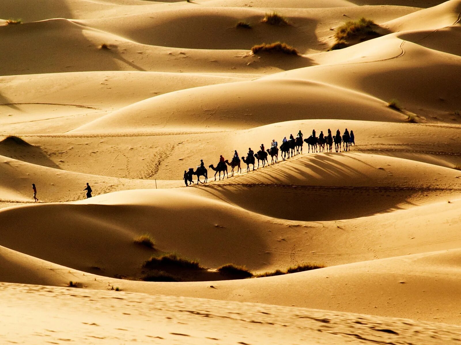 Пустыни Йемена Барханы. Пустыня Караван Барханы. Пески дюн и барханов.