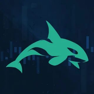 Crypto whale