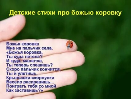 Про божью