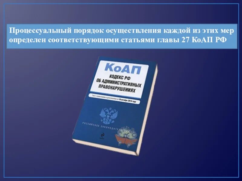 10 упк рф. Меры процессуального обеспечения. Меры административно-процессуального обеспечения КОАП. Меры процессуального обеспечения КОАП. Меры обеспечения производства КОАП.