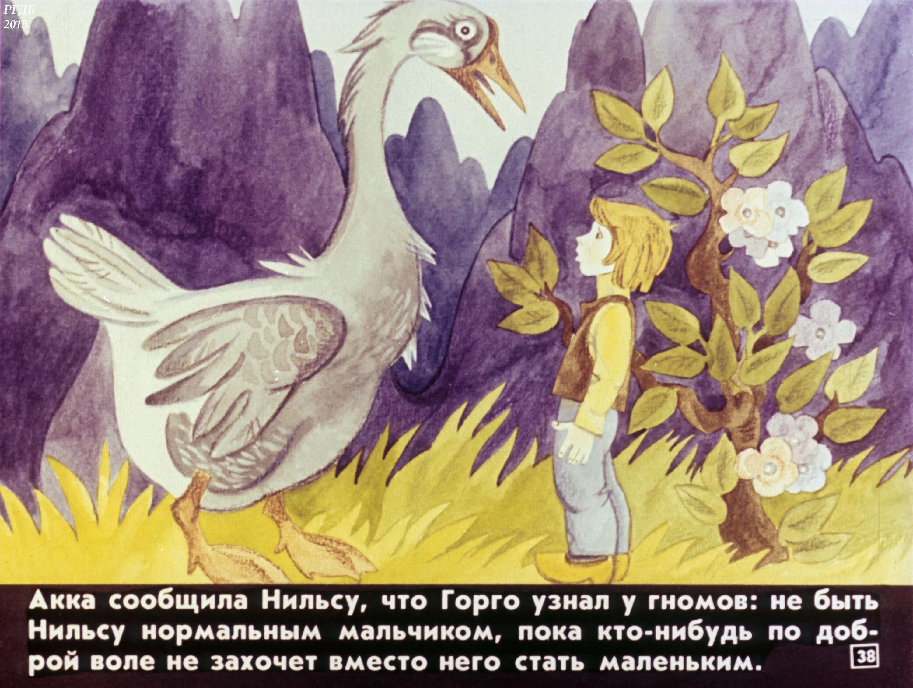 Чудесное путешествие Нильса с дикими гусями. Акка гусыня Нильса. Путешествие Нильса иллюстрации. Волшебные дикие гуси