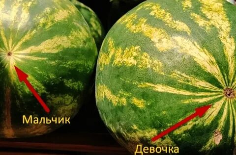 Арбуз мальчик вкусный