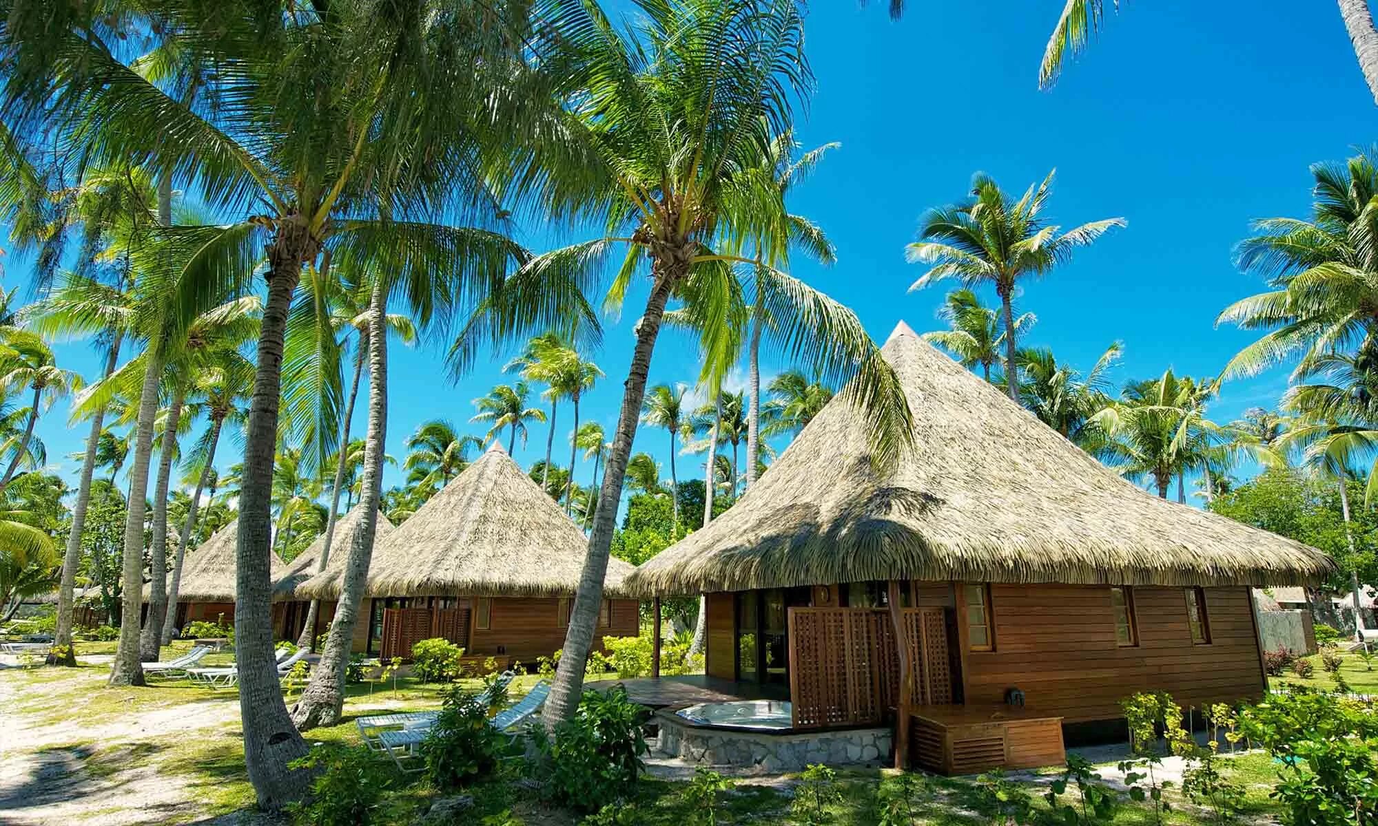 Мальдивские острова, мальдивы. Гавайи бунгало. Coco bodu hithi 5*. Деревянные бунгало. Бунгало с соломенной крышей.