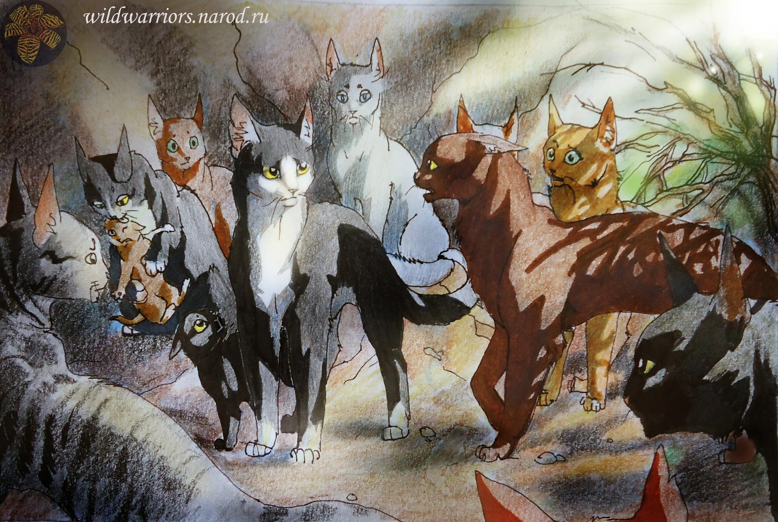 Коты воители грозовое племя. Коты воители племена грозовое племя. Группа котов воителей. Коты воители главный кот. Коты воители звёздный луч.