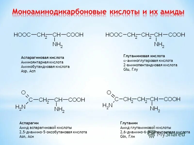 Для чего нужна глутаминовая кислота