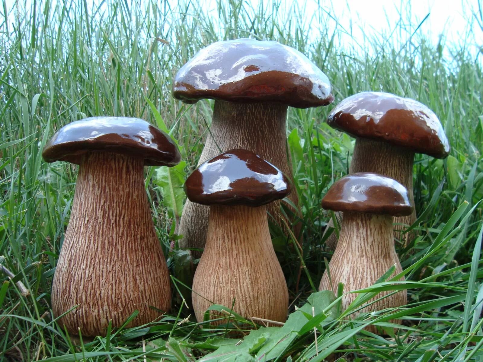 Сделать грибы для сада. «Грибы для белки» (Комарова, с.36). Деревянные грибы для сада. Грибы из дерева для сада. Деревянный гриб.