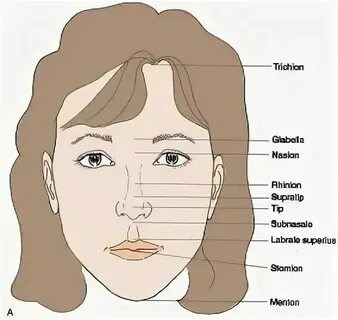 Weight face