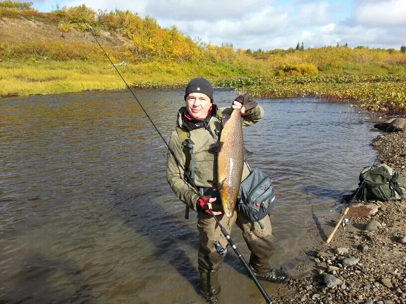 архангельский клев. архангельский клев. рыбалка в архангельске на северной двине. налимы крупные на льду. архангельский клев.