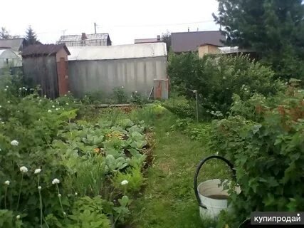 Продам снт солнечный