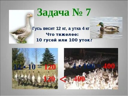 Масса гуся 4 2 15