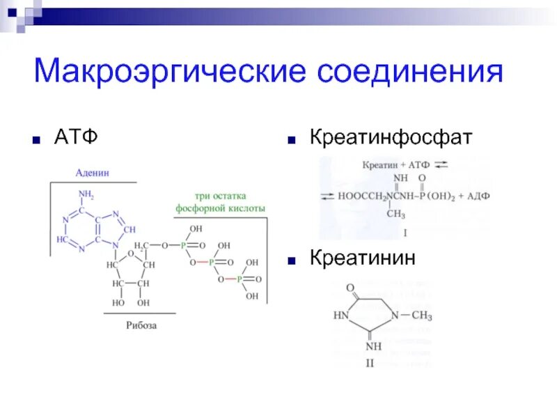 Структура атф химия. Структурные компоненты атф. Схема строения атф. Структурная формула атф макроэргические связи. Структурная формула макроэргического соединения атф.