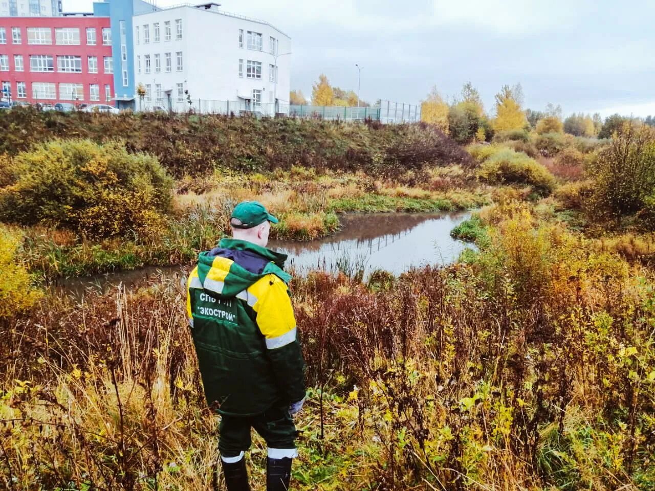 Экологическая служба. Природоохранная служба. Экологи Санкт-Петербурга. Сотрудник экологической службы. Экологические службы рф