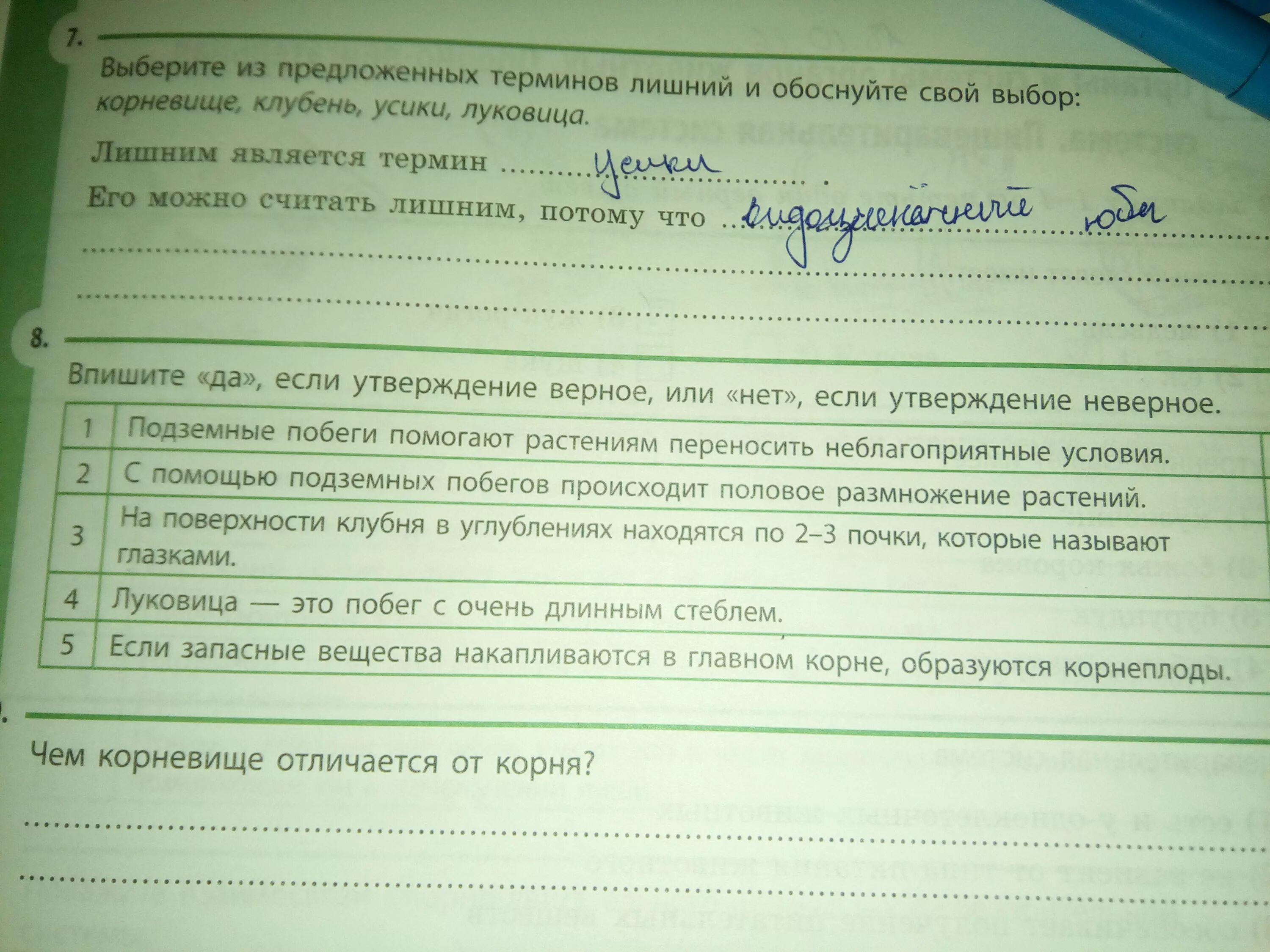 Укажите лишнее понятие объясните почему. Выберите лишнее обоснуйте свой выбор. Задания 2. выбрать лишний термин из предложенных. Из предложенных понятий выберите лишнее. Найдите лишнее имя обоснуйте свой ответ.