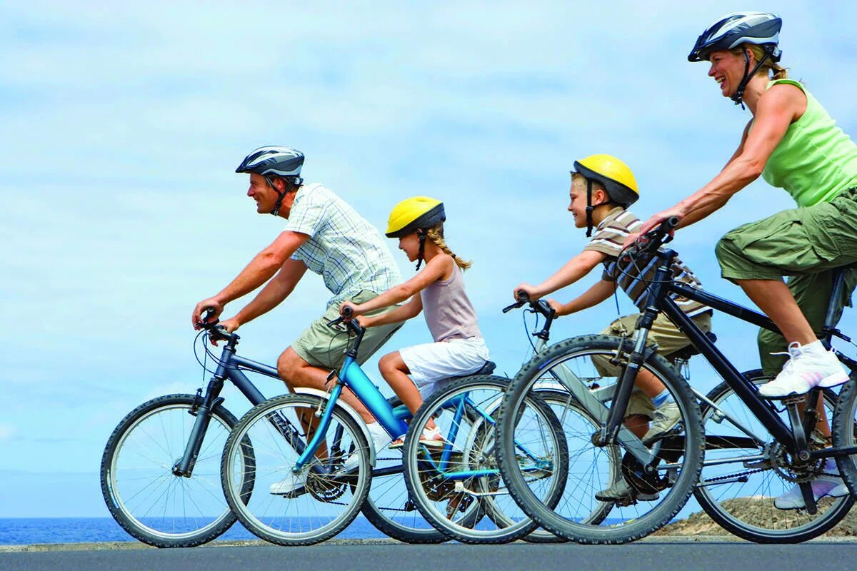 Cycling animals. Семья на велосипедах. Велосипеды для всей семьи. Велосипеды c человеком. Семья катается на велосипедах.