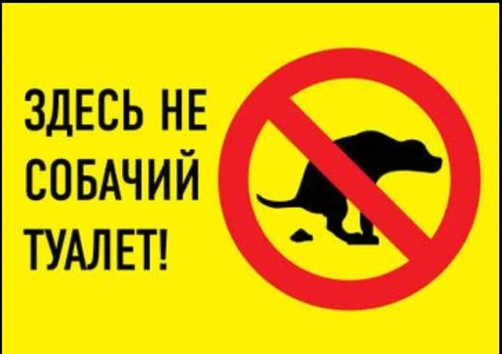 Плакат не мусорить. Здесь тоже, тоже. Вывеска соблюдайте чистоту. Табличка здесь убрали. Тут убери.