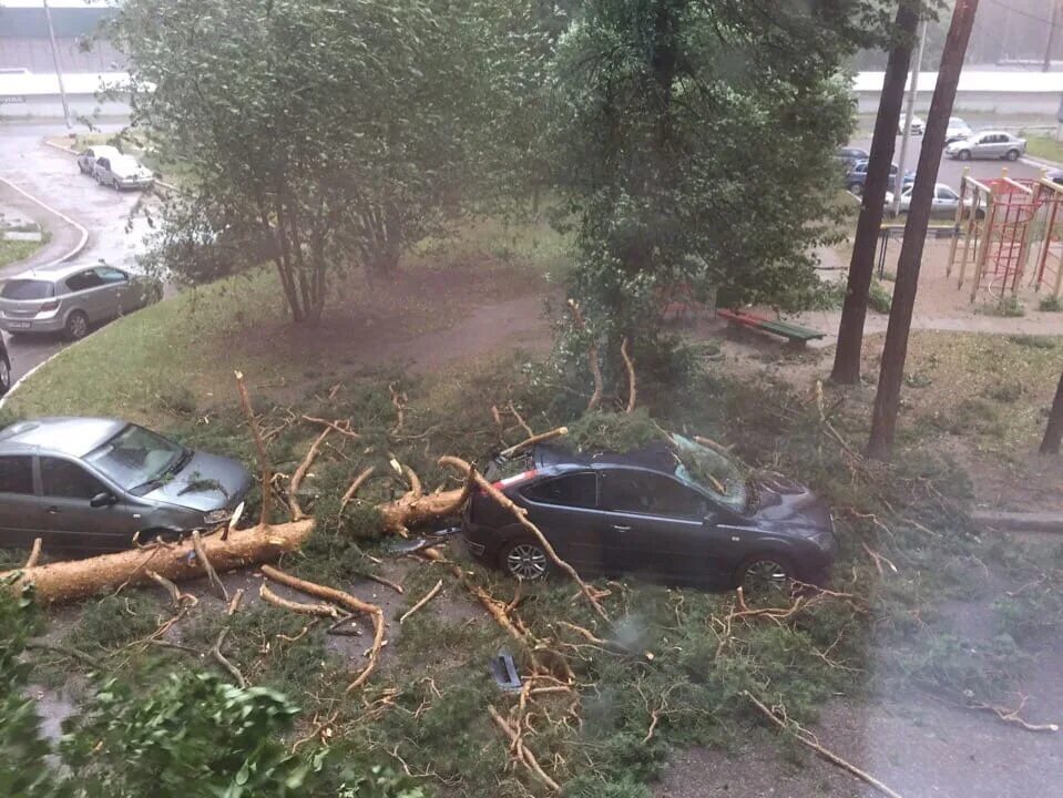 Ураган в Ульяновской области. Ураган в Димитровграде. Ураган в Ульяновской ооблсть. Деревья в Димитровграде. Погода в димитровграде по часам